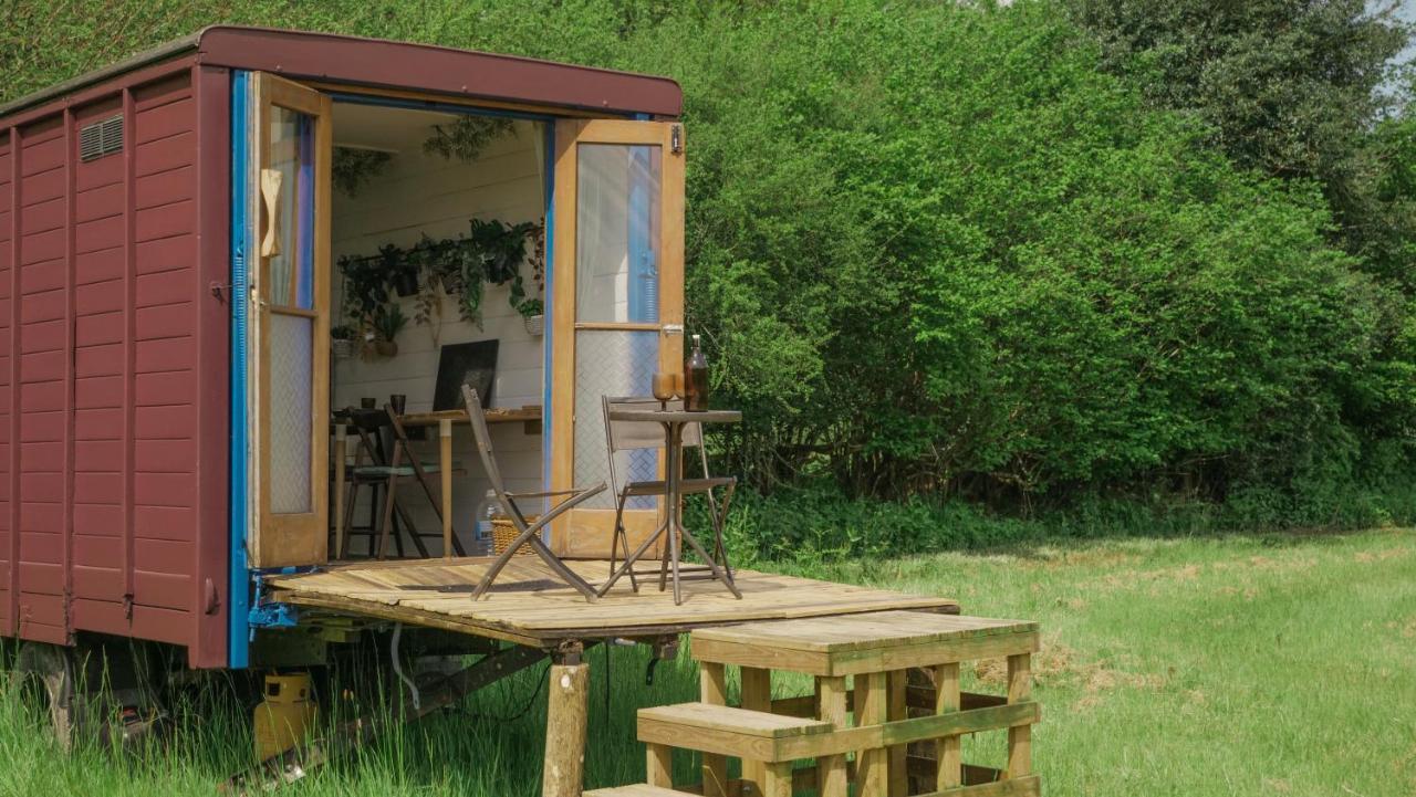 Quirky Vintage Horsebox Conversion With Stunning Views Of Ardingly Reservoir Balcombe Екстер'єр фото