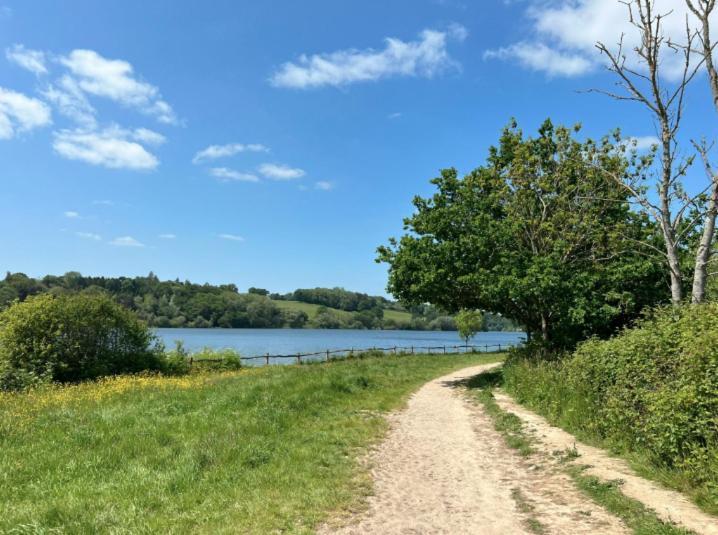 Quirky Vintage Horsebox Conversion With Stunning Views Of Ardingly Reservoir Balcombe Екстер'єр фото